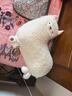 OlarHike羊驼按摩抱枕玩偶公仔老婆女友闺蜜女生生日礼物女士实用高级小众 实拍图