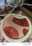 得胜（TAKSTAR） E20小蜜蜂扩音器教师专用无线讲课户外德小圆包胜 大功率上课女 E20W米黄色【无线领夹版】 实拍图
