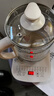 新飞多功能养生壶迷你办公室花茶壶玻璃烧水壶保温电热水壶煮茶烧水一体大容量煎药壶黑茶煮茶器煮水壶 米白色升级款 1.8L 实拍图