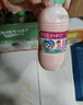 李子园【成毅代言】甜牛奶乳饮料哈密瓜味225ml*20瓶儿童早餐奶送礼黑五 实拍图
