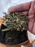 西湖牌2025新茶上市绿茶叶明前特级龙井茶传统纸包250g春茶 杭州茶厂 实拍图
