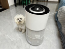 今品森活 KIMPILIVE【养宠专用|强吸浮毛】宠物空气净化器强力吸附猫毛神器猫毛清理器除螨除尘除过敏原家用养猫专用 【旗舰AI款】智能WIFI丨净化彻底丨空气清新 实拍图