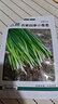 北蔬 各种蔬菜种子生菜菠菜香菜小香葱芹菜阳台四季菜籽 12种蔬菜种子 实拍图
