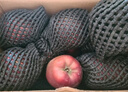 京鲜生 天水花牛苹果 净重8斤 单枚210g+ 生鲜水果源头直发 实拍图