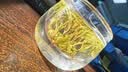 山水西湖绿茶特级明前头采早春雀舌茶2026新茶叶礼盒装250g高端送礼物长辈 实拍图