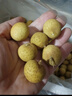 京鲜生泰国进口龙眼 净重5斤精选散豆豆 果径15mm+ 源头直发一件包邮 实拍图