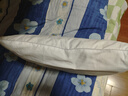洁丽雅（Grace）枕头枕芯星级酒店枕羽丝绒枕芯  纤维软枕芯  单只装 实拍图