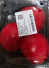 番茄约500g 实拍图