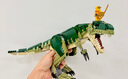 乐高（LEGO）积木拼装31151 霸王龙男孩女孩儿童玩具生日圣诞礼物 实拍图
