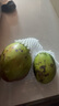 玖原农珍 四川攀枝花凯特芒果净果4.5-5斤优选芒果350g+ 当季新鲜水果 实拍图