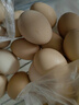 芮瑞 农家正宗土鸡蛋山林散养草鸡蛋 现发柴鸡蛋 40±5g/枚 40枚 实拍图