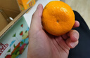 京鲜生 无核蜜桔 精选2斤装橘子/桔子  单果80g+ 生鲜水果 实拍图