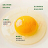 葛溪正太土鸡蛋 有机鸡蛋 富硒鸡蛋 无抗鸡蛋 山林散养鲜鸡蛋 农场直供 有机富硒鸡蛋20枚（单个约50g） 实拍图
