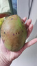 京鲜生杨枝甘露芒果 净重4.5斤 带箱5斤 单果500g+ 生鲜水果源头直发 实拍图