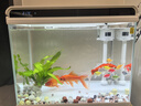 森森 超白玻璃智能桌面鱼缸一体缸自循环HE-480 实拍图