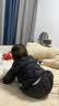 乖奇熊婴幼儿长袖连体衣服春秋季男女宝宝纯棉哈衣爬服家居服薄款睡内衣 实拍图