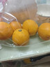 褚氏农业云冠橙 1kg 单果100g+ 实拍图