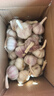 京鲜生河南杞县大蒜带皮新鲜干蒜净重3斤单果5.5-6cm 源头直发包邮 实拍图