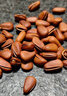 京东京造东北手剥红松子500g 每日坚果干果罐装坚果25年新货松子 实拍图