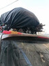 晋御滋车顶行李架轿车suv面包车越野车加厚铝合金车载行李框旅行框顶架 【鲨鱼横杆】双层1.6米-网雨布绑带安全绳 其他车型【备注车型年款】 实拍图