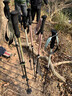 Naturehike挪客初雪EXT1三节碳素登山杖碳纤维户外伸缩徒步专业登山杖外锁 实拍图