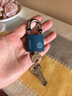 梅花（BLOSSOM）挂锁 铜芯铁锁 室内外大门锁 电力表箱锁BC2932蓝色32MM 实拍图