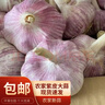 静益乐源山东紫皮蒜大蒜干大蒜蔬菜批发干蒜自种大蒜种子多瓣蒜当季蔬菜 【中果精品大蒜】2斤 精选今年大蒜 实拍图