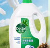 滴露（Dettol）衣物除菌液松木3L 内衣袜子衣物长效杀菌除螨 衣服消毒液儿童可用 实拍图