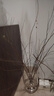 干枝雪柳水插花水培鲜花室内客厅阳台观花绿植鲜枝水养年宵花卉植 雪柳75CM高20支不含瓶 实拍图