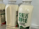 悦鲜活鲜牛奶 有机450ml*3瓶 鲜牛奶 低温奶 巴氏杀菌乳 生鲜 实拍图