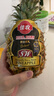 佳农 黑钻菠萝1粒装 菲律宾凤梨 净重2斤起 生鲜水果 源头直发 包邮 实拍图