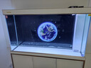森森（SUNSUN）大型鱼缸底过滤水族箱客厅家用落地玻璃生态金鱼缸 【实时温显+灯控】珍珠白 1.2米长35cm宽 实拍图