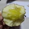 现摘当季云南昭通野生丑苹果冰糖心苹果水果新鲜脆甜大果5/10斤 大果80mm-85mm脆甜 5斤 实拍图
