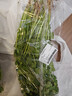 带根香菜100g 实拍图