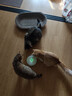 霍曼（Homerun）宠物智能甜甜圈 猫玩具 猫咪陪伴玩具CT10 实拍图