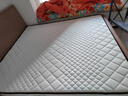 海马飞雪床垫席梦思天然椰棕乳胶独立弹簧床垫酒店厚薄双人家用榻榻米垫子 15cm豪华款(乳胶+椰棕+独立弹簧) 1.8x2米 实拍图