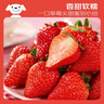 京鲜生 丹东99红颜奶油草莓 3斤礼盒装 500g*3盒 单果22-30g 生鲜水果 实拍图