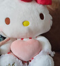 Hello Kitty三丽鸥毛绒玩具玩偶布娃娃抱枕生日圣诞节礼物女 30cm凯蒂猫公仔 实拍图