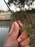 光威（GW）光威3.6米清月鲫超轻超细鱼竿手竿37调鲫鱼竿野钓鲫杆台钓竿渔具 实拍图