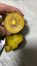 淳果一木 黄心猕猴桃 黄金奇异果金果猕猴桃四川 新鲜水果 生鲜 水果 12个 精选果 单果70-100克+ 实拍图
