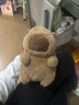 卡皮巴拉毛绒玩具公仔儿童生日礼物女孩情人节礼物水豚毛绒玩偶 卡皮巴拉公仔 1个装（新人专享） 实拍图