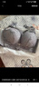 浪莎内衣女小胸聚拢上托防下垂无钢圈收副乳性感蕾丝文胸罩薄款 实拍图