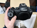 佳能（Canon）EOS R6 Mark II R6二代 新标准全画幅微单相机R62 L级24-105标准镜头套装 实拍图