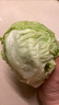京鲜生&听蔬 有机生菜1斤品种随机发 绿生菜罗马生菜球生菜随机源头直发 实拍图