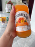 宾得宝（Bundaberg）含气菠萝椰子味饮料375ml*6瓶装 澳州进口网红发酵果汁气泡水 实拍图