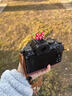 尼康（Nikon）Z50II/z50二代/z502入门级微单相机 尼康云创Vlog自拍高清旅游照相机 Z50II 16-50套机(新手初学推荐) 套餐三【旅拍达人 256G卡+备用电池+卡色UV】 实拍图