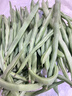 农家四季豆新鲜现摘云南长扁豆角农家应当季蔬菜芸豆现摘菜豆 新鲜四季豆2斤带箱 实拍图