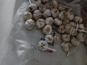 食尚半岛山东金乡鱼台大蒜农家自种干蒜新鲜蔬菜紫皮批发多瓣祘头当季 【中果】精品大蒜5斤 实拍图