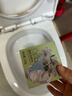 绿岛（Green island）香氛洁厕块150g 蓝泡泡 洁厕宝强力除污垢卫生间除臭大颗清洁块 实拍图