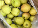 京鲜生 新疆库尔勒香梨 净重5斤 一级 单果100g-120g  生鲜水果 实拍图